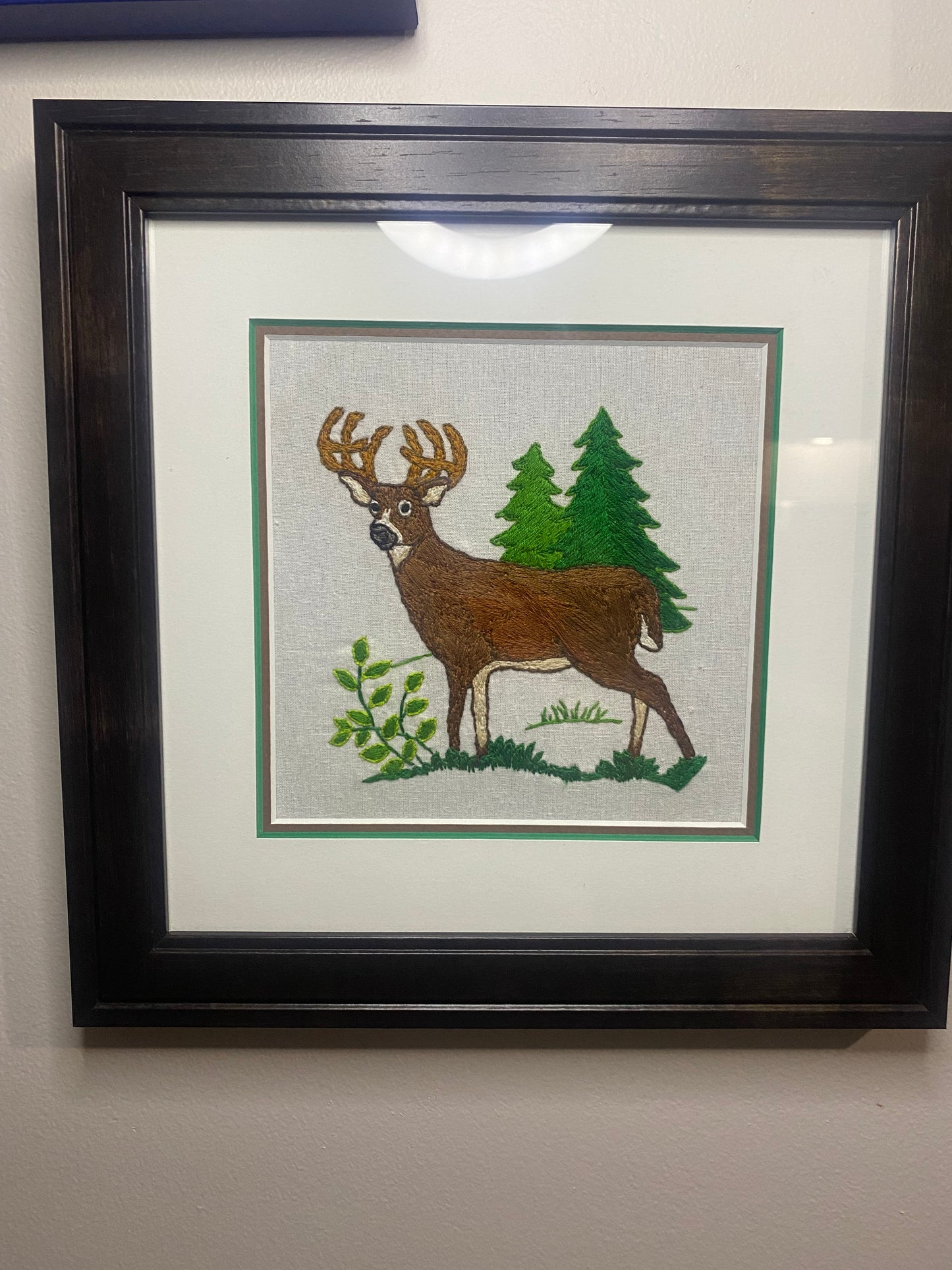 Deer in the Forest