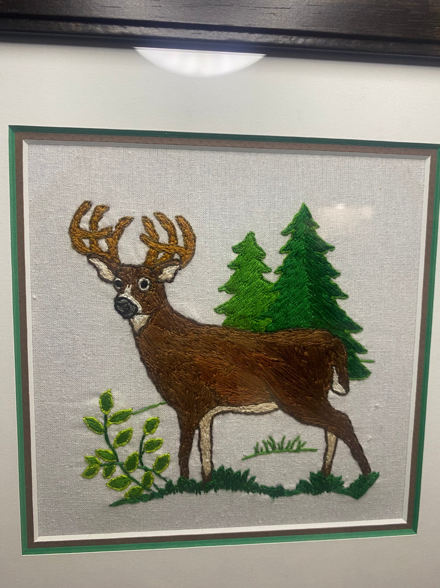 Deer in the Forest